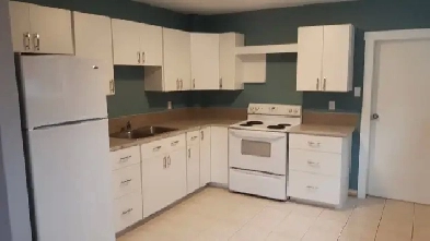 ONE BEDROOM APARTMENT Image# 10