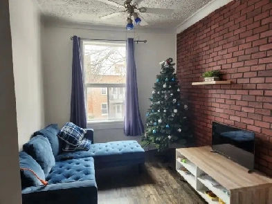 Downtown Montreal big 3 1/2 Den logement for rent Image# 4