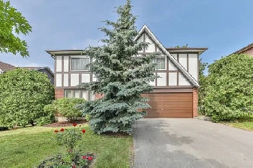 47 O'Shea Crescent, Toronto Image# 17