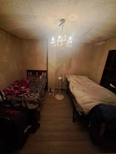 Room for Rent Image# 1