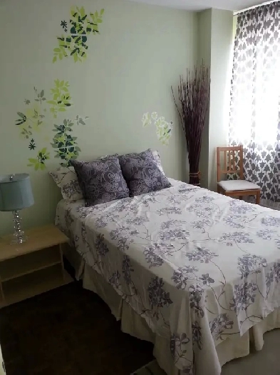1 bed 1 bath Apartment for Rent Image# 3