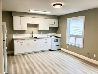 New 1 Bedroom Apartment in Central Kitchener - August 1st Image# 6