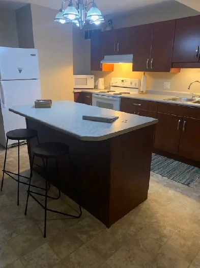 Furnished Two Bedroom Apartment for Rent Available July 1st Image# 5