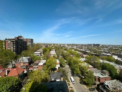 Grand 3 1/2 lumineux, 12e étage balcon proche plateau! Image# 1