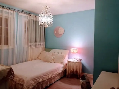 Bright Furnished bed room for rent- ( Essa & Ferndale) Image# 7