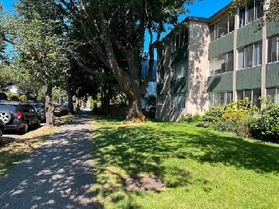 Mount Pleasant –2 BR.$2390. Concrete Building Suite On Third  Fl Image# 6