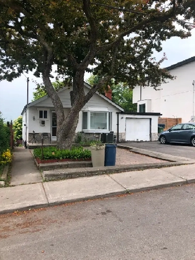 1 Bath 1 Room for Rent Image# 4