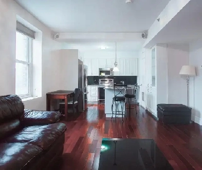 Furnished Downtown One Bedroom Image# 2