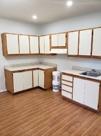 Appartement 3 1/2 T1 à louer en face du métro Rosemont Image# 3