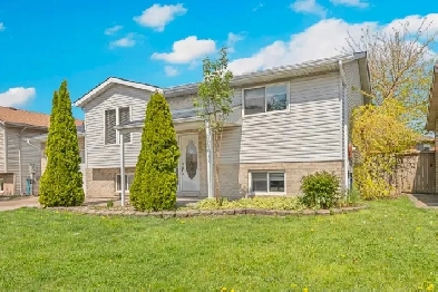 OPEN HOUSE  SUN 2-4    2956 Alderbrook Dr Image# 1