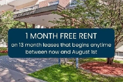 1 Bedroom Apartment in Sandy Hill – Across from uOttawa | July 1 Image# 13