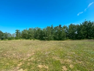 12 Wolf Run Drive Rural Ponoka County, AB T4J 1R3 Image# 1
