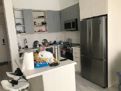 Fully Furnished 1 BHK/Den/2 washrooms on Sharing from 1st Jul Image# 8