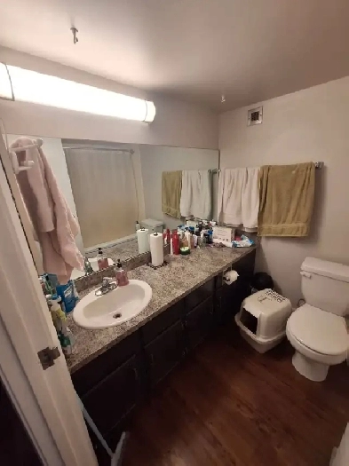 Lease Takeover – 1 Bedroom Apartment in Southland Area Image# 1