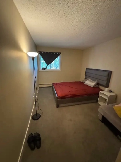 Roommate Needed Image# 4