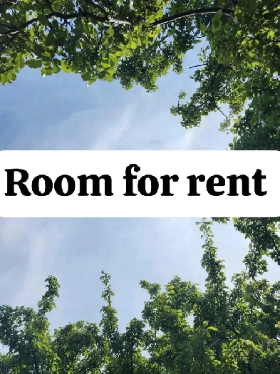 Room for rent for sharing Humberwood Malton available today Image# 1