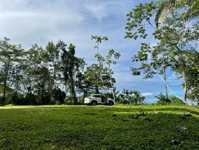 Costa Rica Ocean View Lot for sale. Total Privacy 12000mts Image# 2