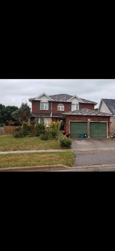 House for rent Image# 6