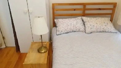 Bright furnished 1 BR apartment Bathurst  Dundas available Jul 1 Image# 4