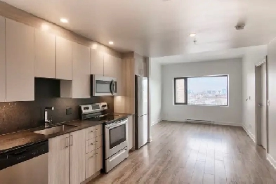 modern one-bedroom apartment in Plateau/Mile end - ID 3996 Image# 11