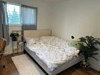 Mainfloor room for rent in Moose Jaw, SK Image# 1
