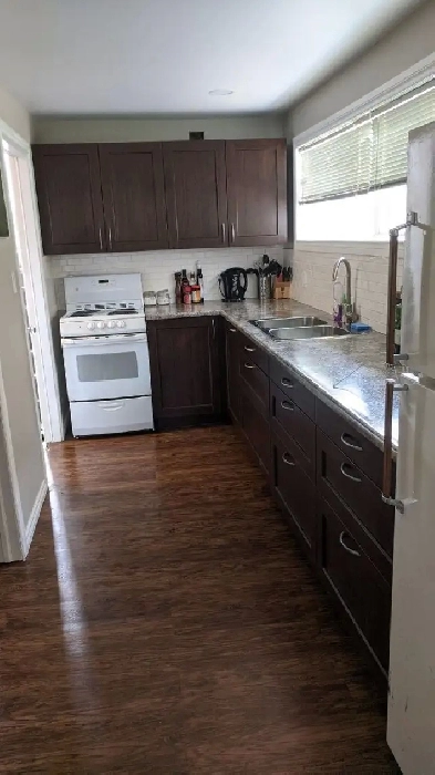 Bright Bachelor Basement suite in King Edward Neighborhood Image# 10