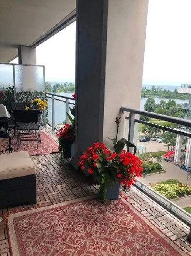 Waterfront Condo - 1 bedroom   Den - in west Toronto/Etobicoke Image# 1