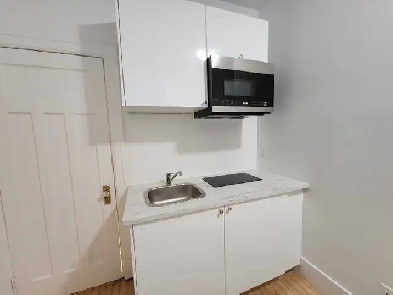 Room for rent (sublet) in Montreal, Jeanne mance street Image# 5