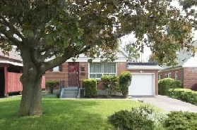 Full Basement House 3 Bed, 1 Bath, At Scarborough, Rent . $1800 Image# 8