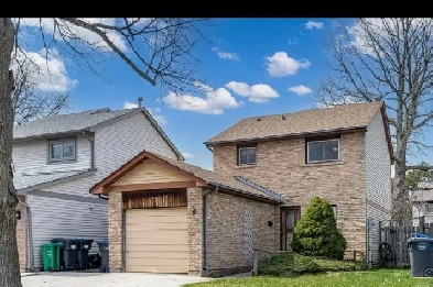 amazing 3 bedroom house for rent, fully renovated!! Image# 10