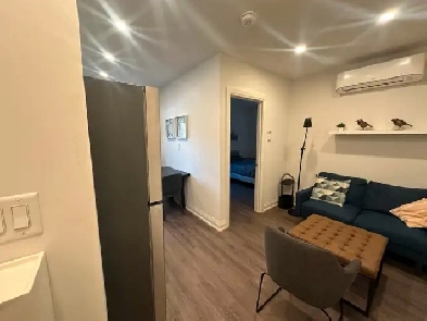 Amazing Renovated 1 Bedroom Apartment for Rent in Toronto Image# 9