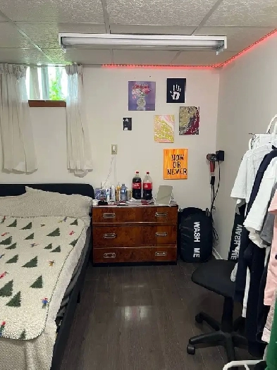 Furnished Basement Room for Rent in Etobicoke Image# 1