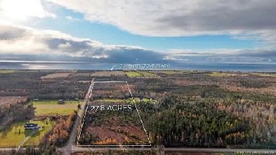 27.8 Acres For Sale Guernsey Cove Road PEI Image# 5
