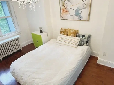 Airbnb Room Daily or Weekly  in midtown Image# 8