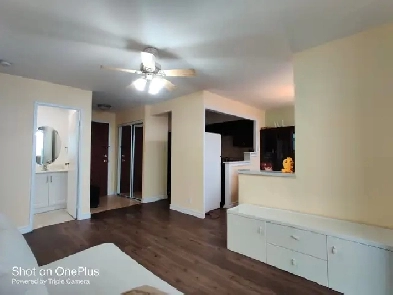 Two BDRM  Condo  in Downtown ( Chinatown ) Image# 2