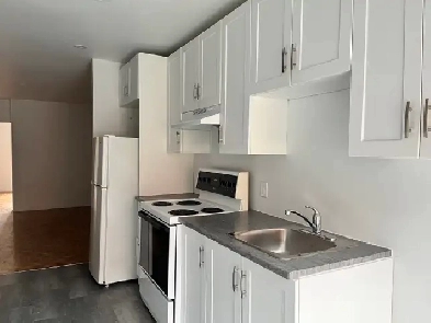 appartement libre des maintenant a rosemont Image# 4