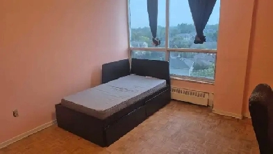 Looking for an LGBTQ friendly roommate Image# 1