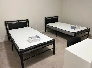 Basement Furnished Shared Unit Image# 2