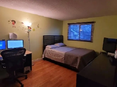 3 bedrooms house for rent Image# 5