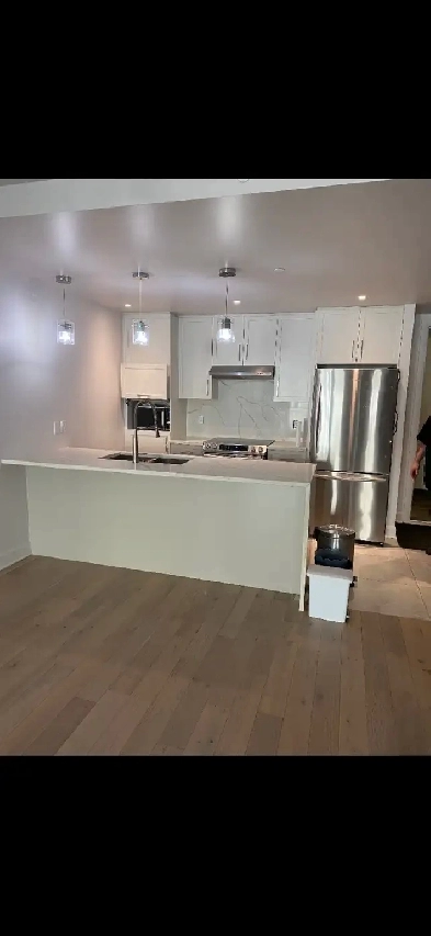 logement 3 1/2 à louer Image# 3