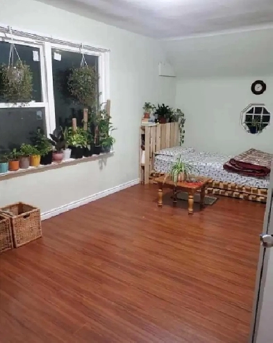 Nice 3.5 bedroom house 4rent . Derry and airport rd. July 1 th Image# 5