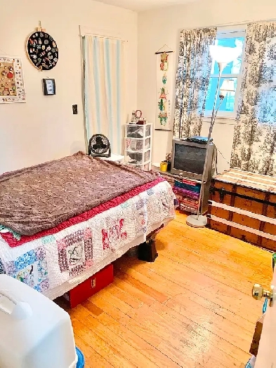 Room For Rent (Large Downtown 2 Bedroom Apartment) - Sept 1st Image# 7