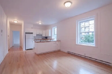 modern 2-bedroom apartment near Guy-Concordia - ID 3959 Image# 1