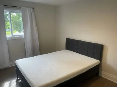 Secondary Bedroom with Private Washroom on Main Floor, Markham Image# 6