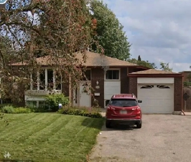Room for rent Image# 10