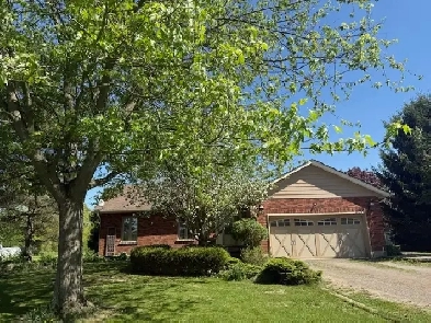 Bargain Alert, hobby farm 5 minutes from Ancaster! Image# 5
