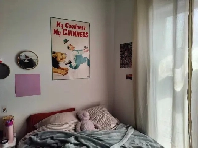 PRICE IS NEGOTIABLERoom for Sublease in Shared appartement Image# 1