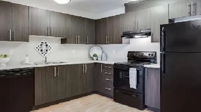 2 Beds 1 Bath Beautiful Apartment close to UofM Image# 1