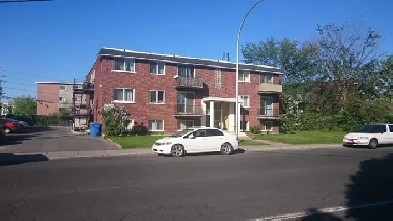 4 et demi 1er juillet longueuil Image# 5