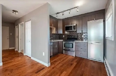 1 bedroom, 1 bath flat in Bankview for rent Image# 10